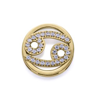 MOTIVO VICEROY ACERO IP DORADO CIRCULAR CANCER