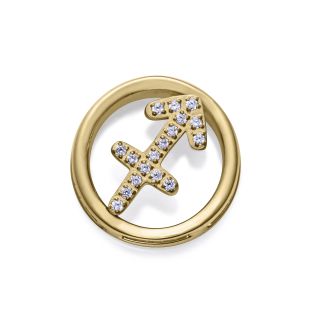 MOTIVO VICEROY ACERO IP DORADO CIRCULAR SAGITARIO