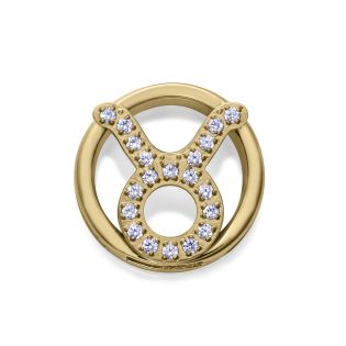 MOTIVO VICEROY ACERO IP DORADO CIRCULAR TAURO