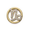 MOTIVO VICEROY ACERO IP DORADO CIRCULAR CAPRICORNIO