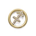 MOTIVO VICEROY ACERO IP DORADO CIRCULAR SAGITARIO