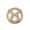 MOTIVO VICEROY ACERO IP DORADO CIRCULAR TAURO