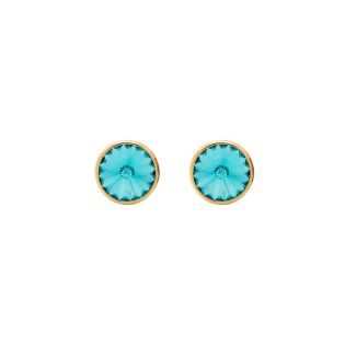 PENDIENTES VICTORIA CRUZ BOTÓN 9MM CIRCULO CRISTAL EN PLATA BAÑADA EN ORO DE BASIC