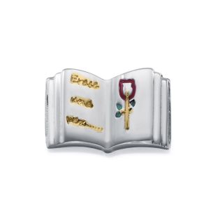 MOTIVO VICEROY ACERO LIBRO ESMALTE